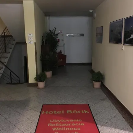 Hotel Sport Borik